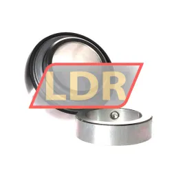 INA GE55-XL-KRR-B rulman resim 2
