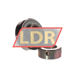 INA RAE20NPP FA106