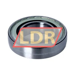 INA G208-XL-NPP-B rulman resim 2