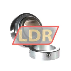 INA GE60-XL-KRR-B rulman resim 2