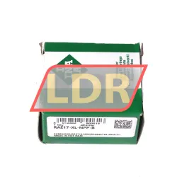 INA RAE17-XL-NPP-B rulman resim 3