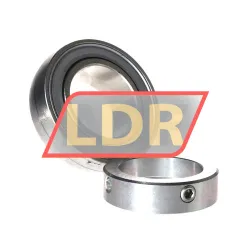 INA GRAE50-XL-NPP-B-FA125-5 rulman resim 2