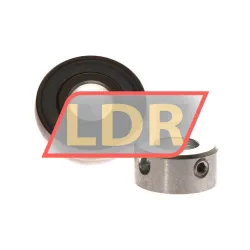INA RAE15-XL-NPP-B rulman resim 2