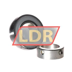 INA GRAE25-NPP-B-FA106 rulman resim 2