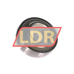 INA RAE30-NPP-B-L285/70-OSE
