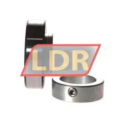 INA RAE40-XL-NPP-FA106 rulman resim 2