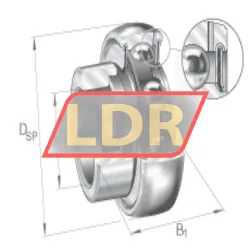 INA GRA100-NPP-B-AS2/V rulman resim 4
