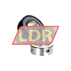 INA GRAE30-NPP-B-FA106 rulman resim 2