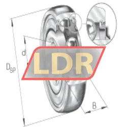 INA SK102-207-KRR-B-AH10 rulman resim 4
