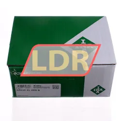 INA GNE50-XL-KRR-B rulman resim 2