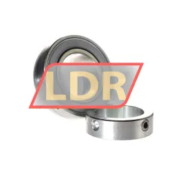 INA GRAE45-XL-NPP-B-FA125-5 rulman resim 2