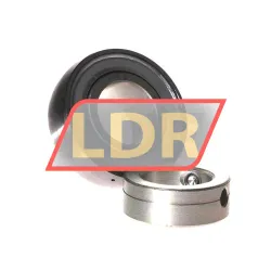 INA GRA102-NPP-B-AS2/V rulman resim 2