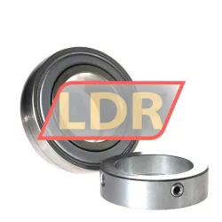 INA GRAE60-XL-NPP-B-FA125-5 rulman resim 2