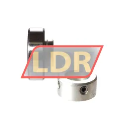 INA RAE17-XL-NPP-FA106 rulman resim 2