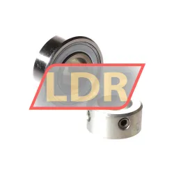 INA RAE17-XL-NPP-FA106 rulman resim 3