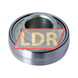 INA RAE20-XL-NPP-B-OSE rulman resim 2