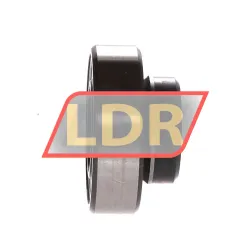 INA AY25-NPP rulman resim 2
