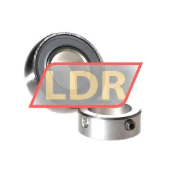 INA RAE25-XL-NPP-B-FA106 rulman resim 2