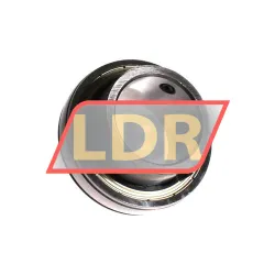 RHP 1250-50G rulman resim 2