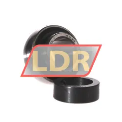 SKF YEL205-100-2F