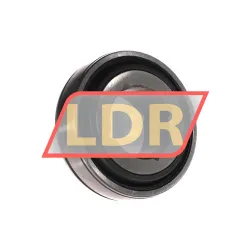 RHP DNF155/12G rulman resim 2