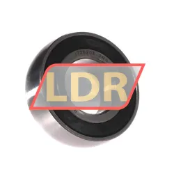 RHP 1726205-2RS