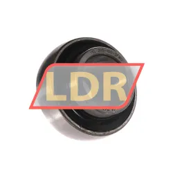 SKF YEL205-100-2FWU