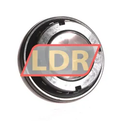 RHP UK210D1+H2310