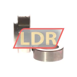 INA RAE30-NPP-FA125-5 rulman resim 3