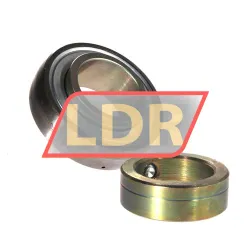 INA GRA107-NPP-B-AS2/V rulman resim 2