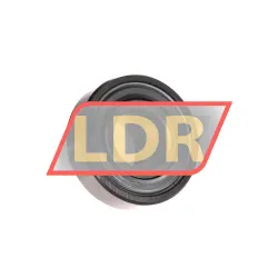 INA RAL012NPP FA106 rulman resim 2