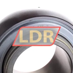 INA GE55-KRR-B-E55EB rulman resim 3