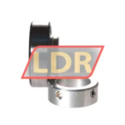 INA RAE25-XL-NPP rulman resim 2