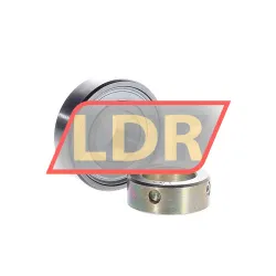 INA RA012NPP2 rulman resim 2