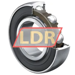 INA 205-NPP-B-E55EB rulman resim 2