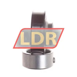 INA RAE17-NPP-FA106 rulman resim 2