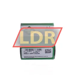 INA RAE17-NPP-FA106 rulman resim 3