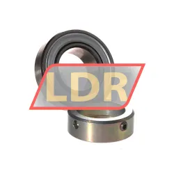 INA RALE25-XL-NPP rulman resim 2