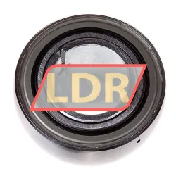 INA GSH25RRB rulman resim 2