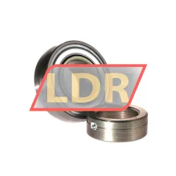 INA RA100-NPP-B rulman resim 2