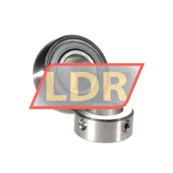 INA RAE20-NPP-B-FA106 rulman resim 2
