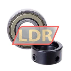 NTN AEL202-010D1W3