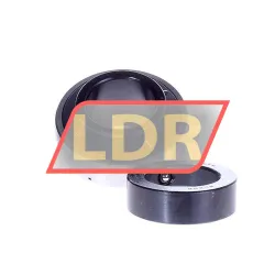 NTN M-UEL208D1