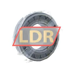 SKF 22222EK/C4