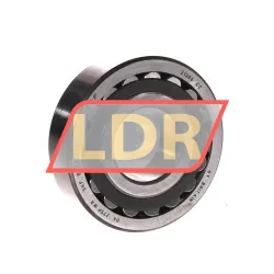 SKF 21306CC