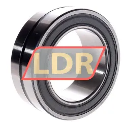 SKF 24015-CS2