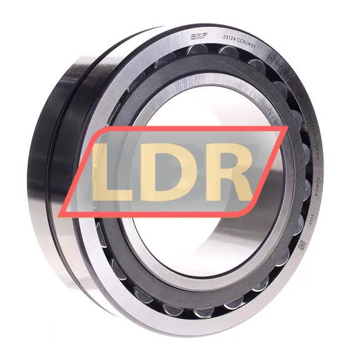 SKF 23124CCK/W33