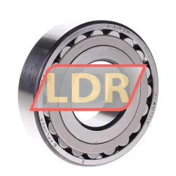 SKF 21308EW