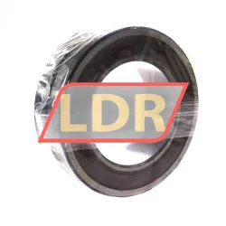 SKF 23120-2RS5/VT143B rulman resim 2