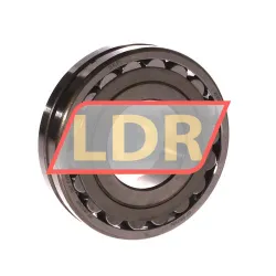 SKF 21309EK